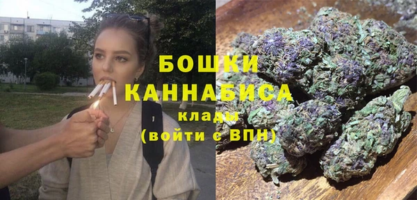 PSILOCYBIN Медвежьегорск