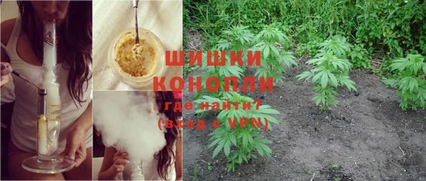 PSILOCYBIN Медвежьегорск