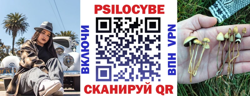 Псилоцибиновые грибы Magic Shrooms  Хилок 